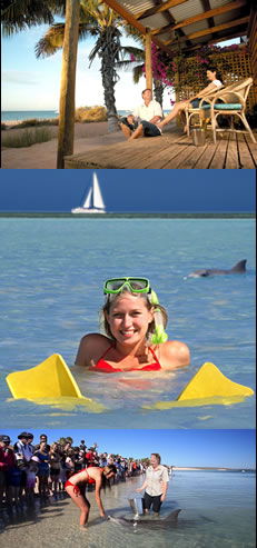 Monkey Mia Dolphin Resort - Perths Hotel 0