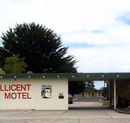 Millicent Motel - Perths Hotel