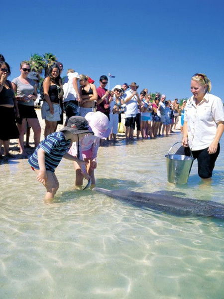 Monkey Mia Dolphin Resort - Perths Hotel 1