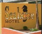 Seahorse Motel - Perths Hotel 1
