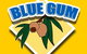 Atherton Blue Gum - thumb 1