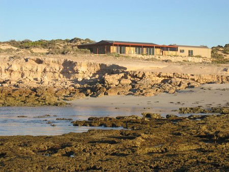Tiliqua Sunrise - Perths Hotel 3
