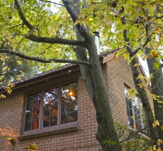 Crafers Cottages - Cherrytree Cottage - Perths Hotel 4