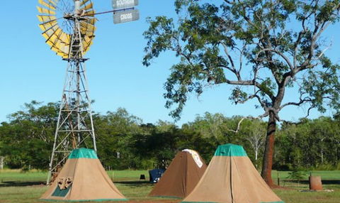 Litchfield Tourist Park - Perths Hotel 2