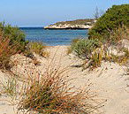 Marion Bay Caravan Park - Perths Hotel 5