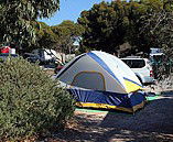Marion Bay Caravan Park - Perths Hotel 6
