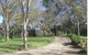 Kooringal Homestead - thumb 2