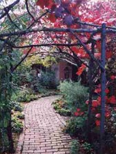 Adelaide Hills Country Cottages - The Nest - Perths Hotel 2