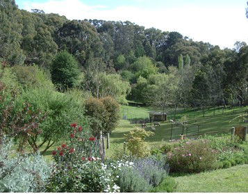 Lorikeet Lane B&B - Perths Hotel 1