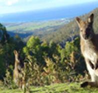 Rainbow Retreat Wilderness Eco Cabins - Perths Hotel