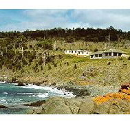 Kabuki by the Sea - Perths Hotel