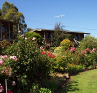 Mole Creek Holiday Village - Perths Hotel