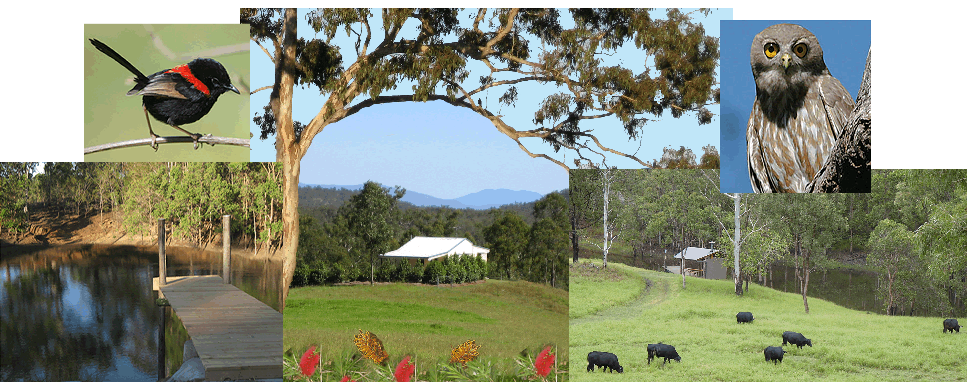 Kairi QLD Perths Hotel