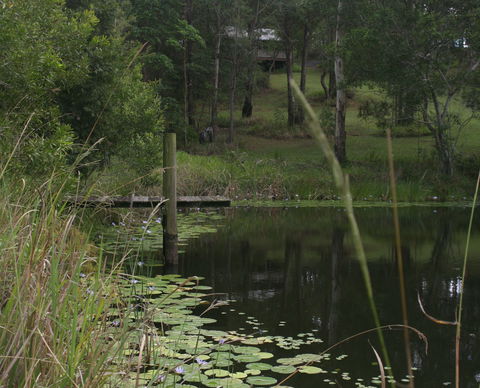 Maleny Country Cottages - Perths Hotel 4