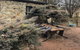Glenelm Guest Cottage - thumb 8