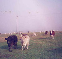 Seeview Farmstay