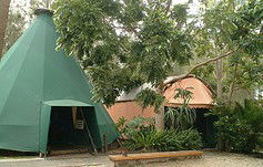 Arts Factory Backpackers Lodge - Perths Hotel 0