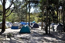 Arts Factory Backpackers Lodge - Perths Hotel 3