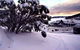 Kosciuszko Chalet Hotel - thumb 0