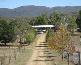 Snowy Vineyard Cottage - Perths Hotel 2