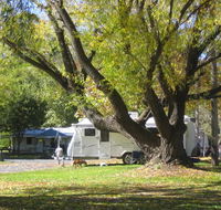Tumbarumba Creek Caravan Park - Perths Hotel