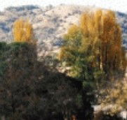 Birches Bed and Breakfast at Nundle - Perths Hotel