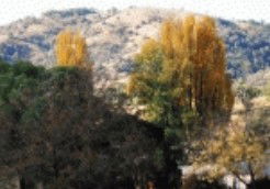 Birches Bed And Breakfast At Nundle - Perths Hotel 0