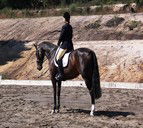 Apptrak Stud - Perths Hotel 0