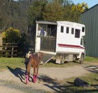 Apptrak Stud - Perths Hotel 1