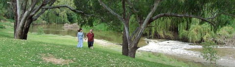 Apex Riverside Tourist Park - Perths Hotel 4