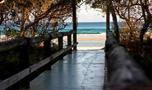 Anchorage Beachfront Island Resort - Perths Hotel 4