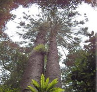 Moorlands Country Retreat