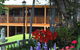 Mystery Mountain Farmstay - thumb 5