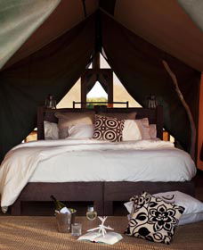 Sal Salis Ningaloo Reef - Perths Hotel 0
