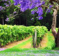 Bago Vineyards - Perths Hotel
