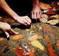 Daintree Eco Lodge And Spa - Perths Hotel