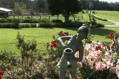 Jacaranda Country Lodge - Perths Hotel 2