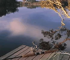 Jacaranda Country Lodge - Perths Hotel 4