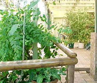 Denham Villas - Perths Hotel 1