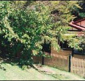 Apple Tree Cottage - Perths Hotel