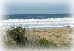 Book Hardys Bay Accommodation Vacations Perths Hotel Perths Hotel