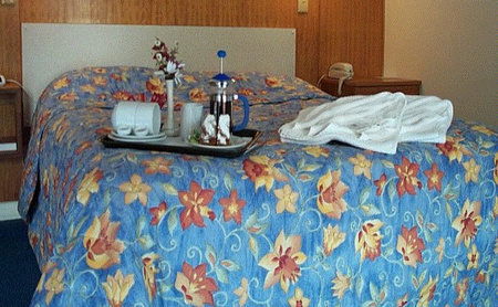 Bandicoot Motor Inn - Perths Hotel 2