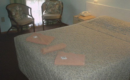 Bandicoot Motor Inn - Perths Hotel 4