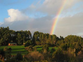 Lavender And Berry Farm - Perths Hotel 3