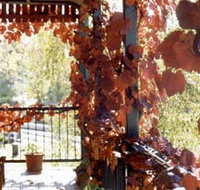 The Vines Motel amp Cottages - Perths Hotel