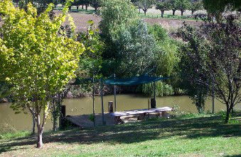 Colonial Inn Tamworth - Perths Hotel 3