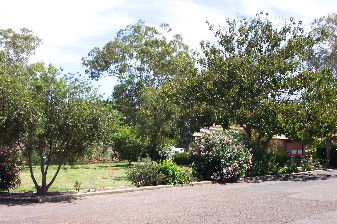 Colonial Inn Tamworth - Perths Hotel 4