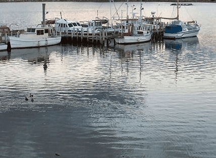 Hobart Apartments - Perths Hotel 1