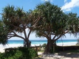 Pacific Surf Absolute Beachfront Apartments - Perths Hotel 0
