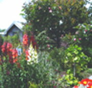 Hopfield Country Cottages - Perths Hotel